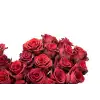 Love heart